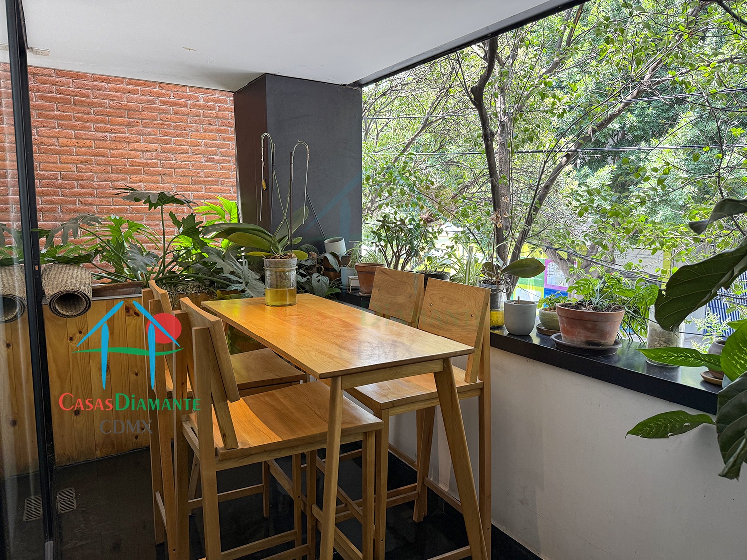 Roma Norte Departamento Orquídea - Terraza planta alta 1 Roma Norte Departamento Orquídea - Terraza planta alta 1